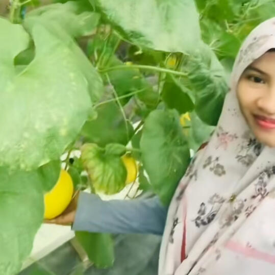 Mdm Syahrum Zakaria, Melon Grower & SZ Agrofarm Owner Testimonial profile photo of Mdm Syahrum Zakaria, owner of SZ Agrofarm and a commercial melon grower, who uses QarboGrow to achieve faster crop growth, fruit that is 0.5kg to 1kg heavier, and sweeter melons.