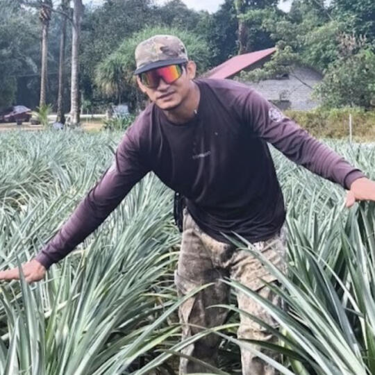 Mr. Aizat Halim, Pineapple Grower and Brotani Ventures CEO Profile photo of Mr. Aizat Halim, a commercial pineapple grower and CEO of Brotani Ventures, who partnered with Qarbotech to achieve sweeter fruit (higher BRIX levels) and a significantly shortened 2-month harvest cycle.